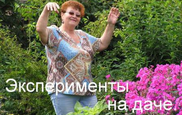 Чинарова Людмила - выращивание томатного дерева на Урале с помощью Эм-технологии