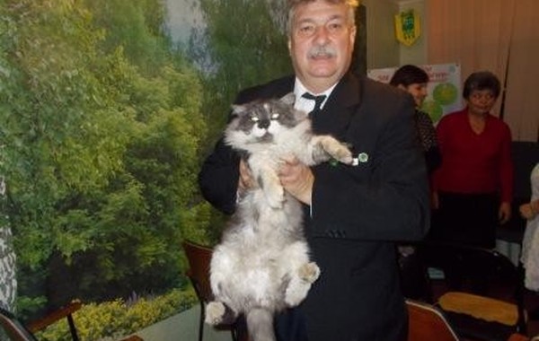  Праздник урожая в Брянске. Осень 2014