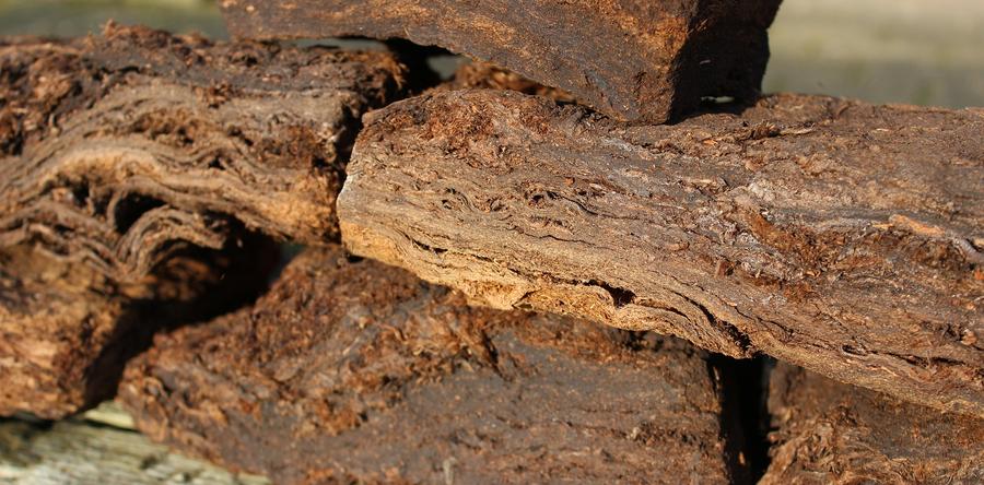 ТОРФ – БОЛЬШОЕ ДЕЛО!