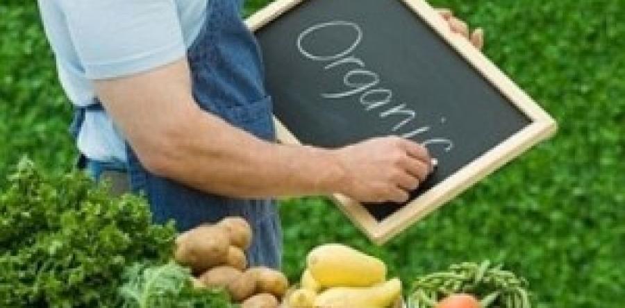 СОСТАВ И ПРЕИМУЩЕСТВА ОРГАНИЧЕСКОГО ЗЕМЛЕДЕЛИЯ  С ЭМИКС-ПРЕПАРАТАМИ
