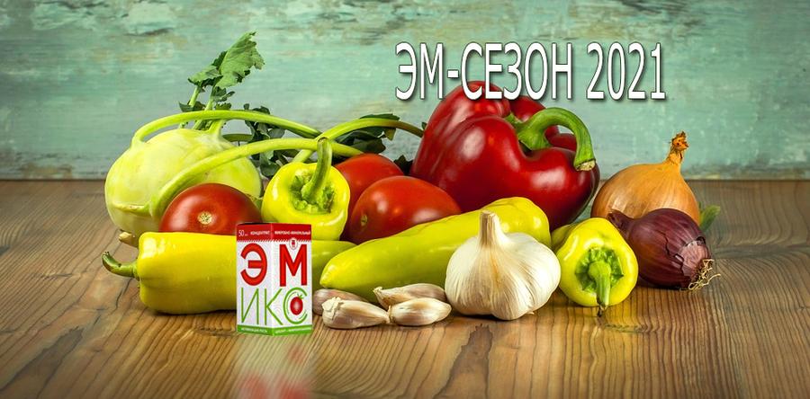 НПО «АРГО ЭМ-1» ОБЪЯВЛЯЕТ ИТОГИ 1-ГО ЭТАПА КОНКУРСА: «ЭМ-СЕЗОН 2021»