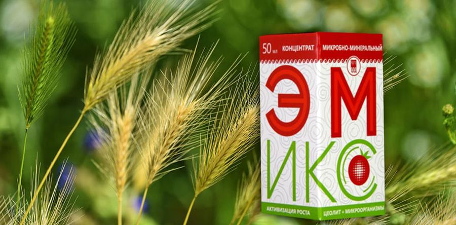 Изменение воды при изготовлении удобрения «эмикс» на цеолите