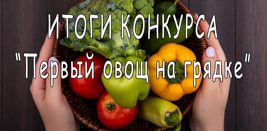 Внимание, итоги конкурса  "Первый овощ на грядке"
