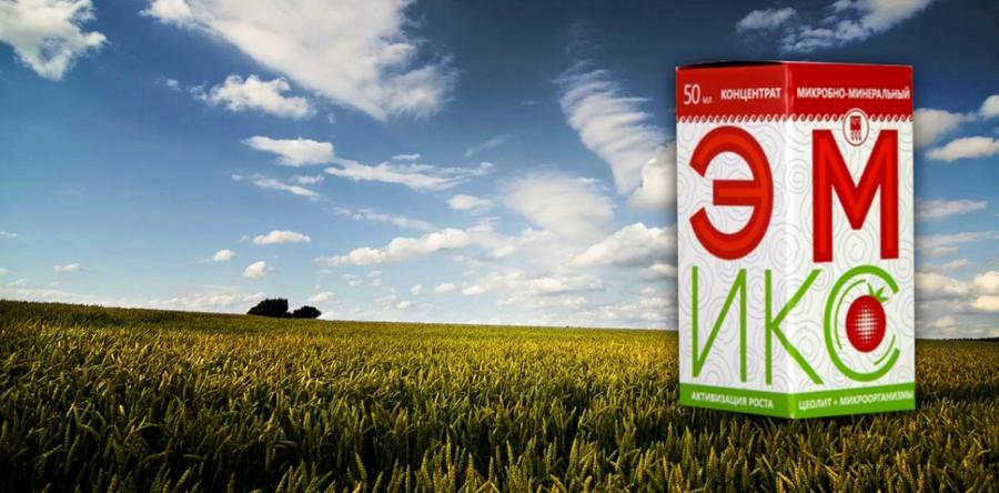 ПРОДУКЦИЯ ЭМИКС ПРЕДСТАВЛЕНА НА ВЫСТАВКЕ АГРАРНОГО ПРАЗДНИКА "ДЕНЬ ПОЛЯ"