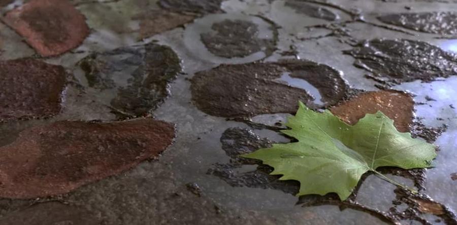 ЭМ-КЕРАМИКА ДЛЯ ИСКЛЮЧЕНИЯ ПЕРЕУВЛАЖНЕНИЯ ГРУНТА