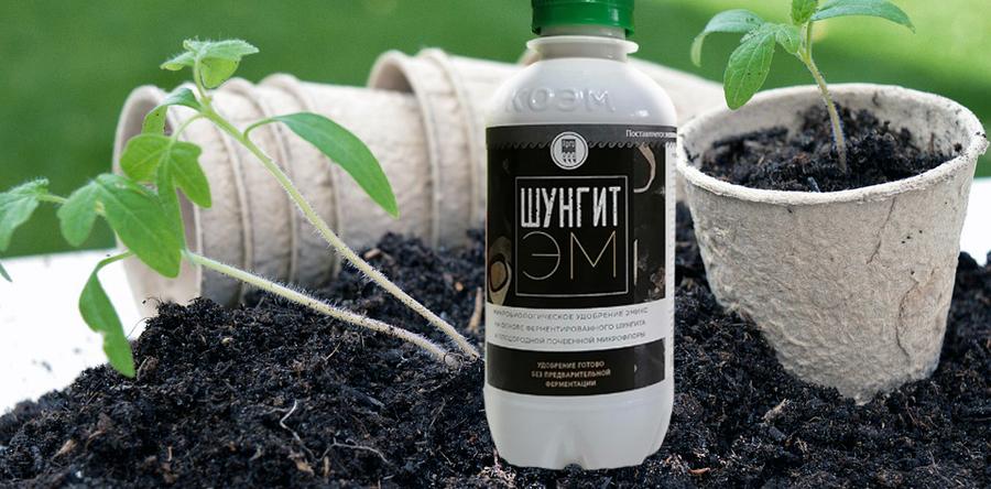 Фуллерены в уникальном биоудобрении "ШунгитЭМ" обеспечивают связь между органическим и неорганическим веществом