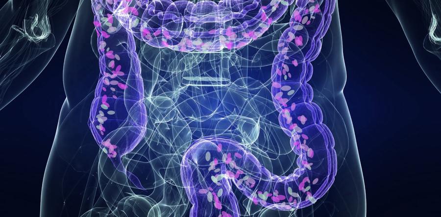 Дисбактериоз: как вернуть гармонию в свой кишечник