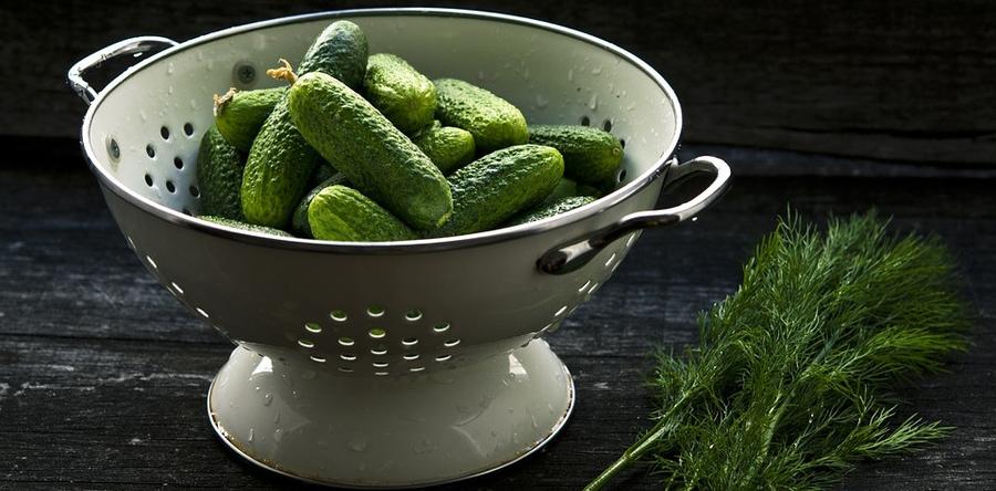 Рецепт засолки огурцов с "КуЭМсилом"