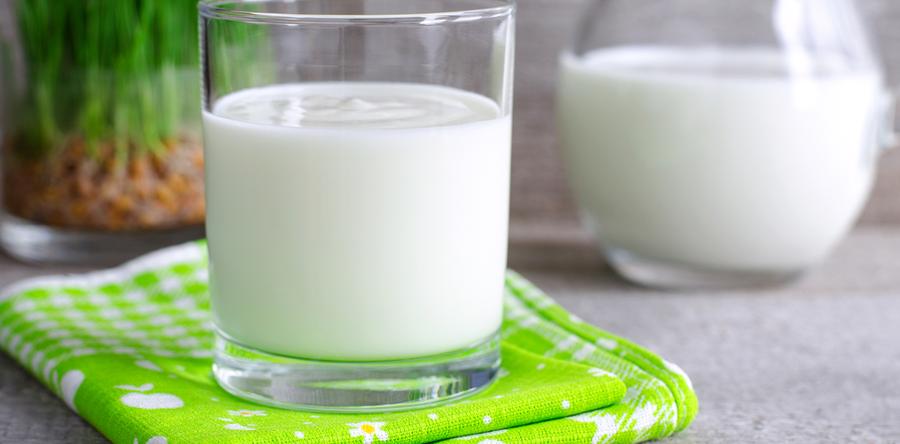 Кисломолочные продукты: зачем вашему желудку "тренировка" и как ее пройти