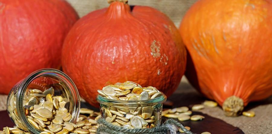 Как приготовить тыквенное молоко из семечек тыквы