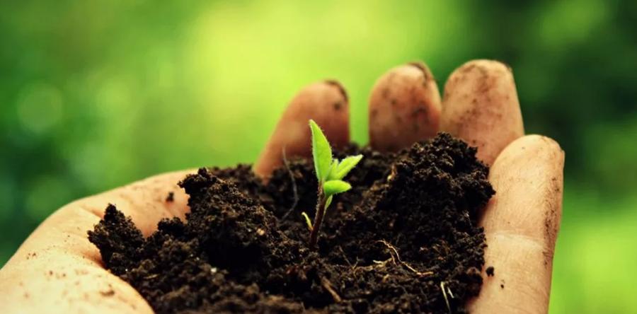 Безопасное восстановление плодородия почвы